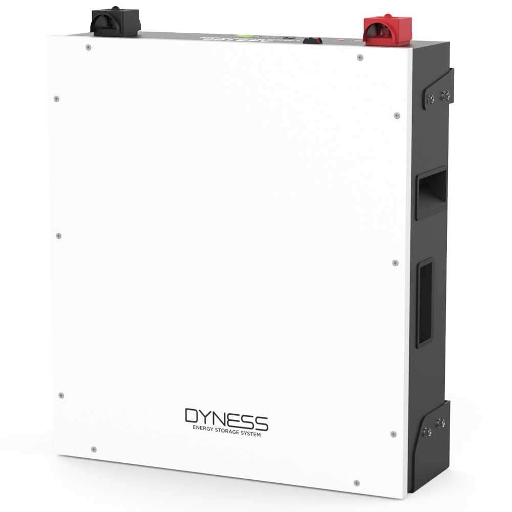 Dyness DL5.0C - 51.2V 5.12kWh Акумуляторна батарея